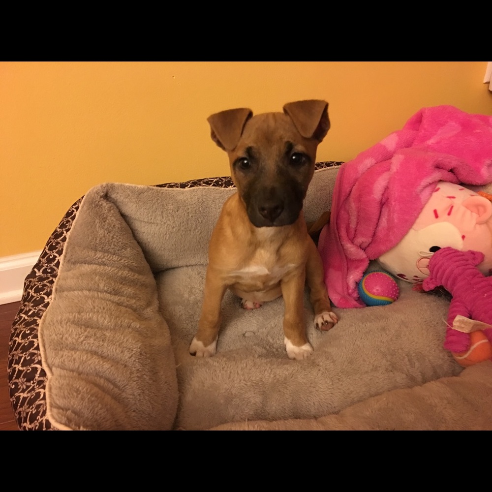 Meet your Posher, Lakeisha